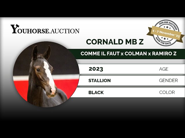 Cornald MB Z
