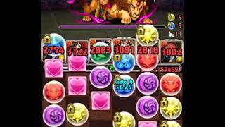 [극한의 투기장5] 에미야 시로 클리어