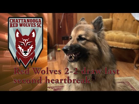Red Wolves 2-2 Draw at South Georgia Tormenta. Match Report with Wolfman Jeff.