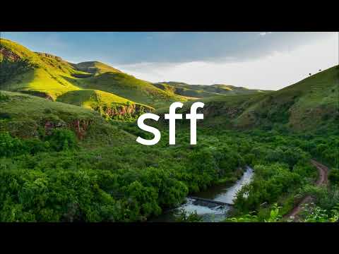 Anis Hachemi, Dj Emir Finesse