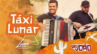 Táxi Lunar Lyrics English Translation