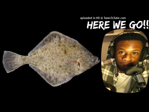 TRL Reaction / Macias  - Lista ZYCZEN #poland #americanreaction #reaction