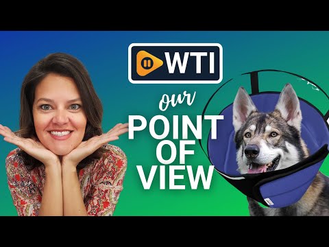 Cryptdogle Dog Bone Collars - WTI product video review