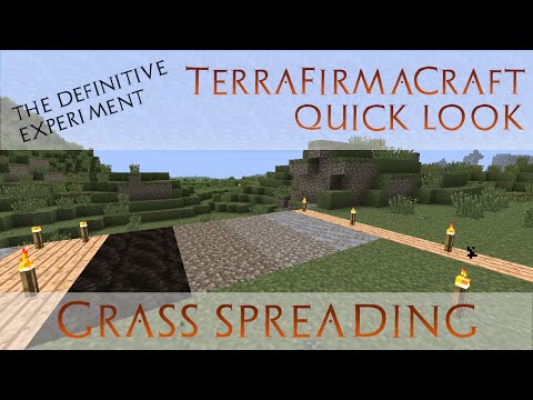 TerraFirmaCraft Quick Look - Grass - Experiment in Where it Spreads [0.78.17]