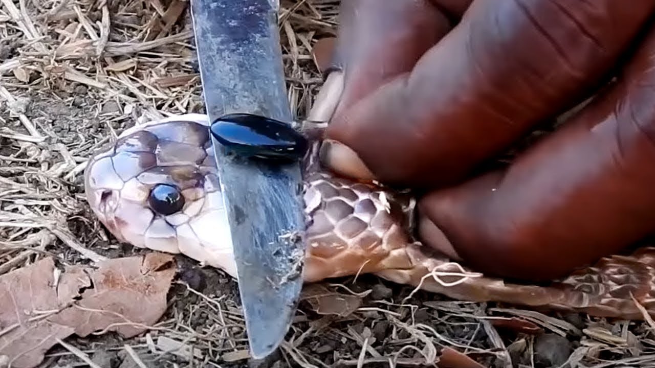 The Rarest Stones Ever Found