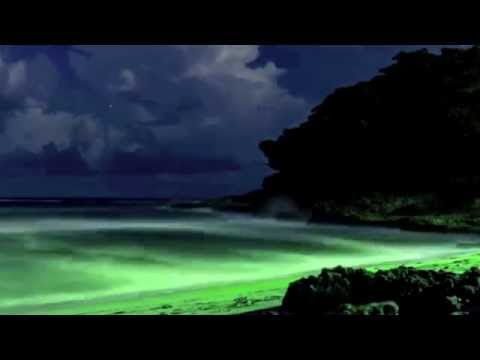 Sterling Void & Paris Brightledge "Let Loose The Light" Groove Addix Mix