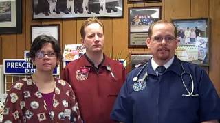preview picture of video 'Shorewood Animal Hospital (815) 744-2082 (Shorewood IL Plainfield Channahon Minooka)'