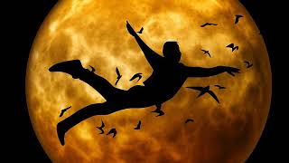 Die Prinzen - Mann im Mond