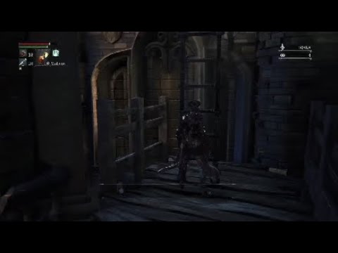 Bloodborne - Wtf glitch and error