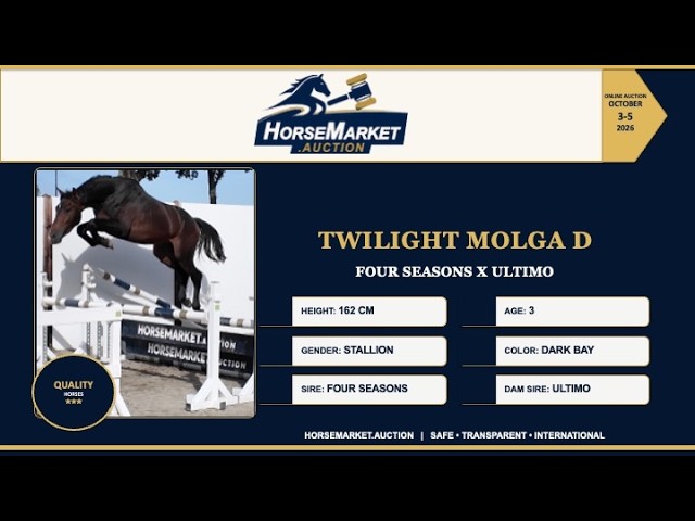 Twilight Molga D