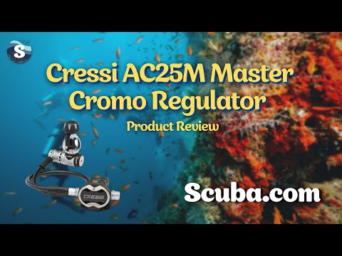 Product Review: Cressi Neon Computer
