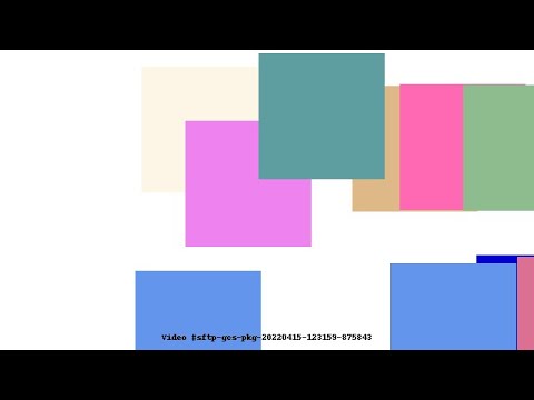 Video #sftp-gcs-pkg-20220415-123159-875843