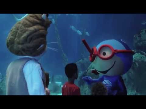 Max e Vasco - Juntos Pelos Oceanos