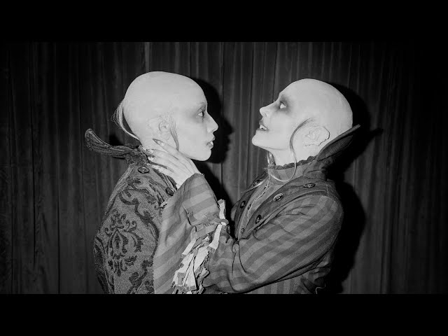 Wodo (2024) Backstage