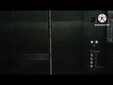 Music by Pan Yuan Ting's latest intro (V4)