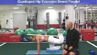 Quadruped Hip Extension