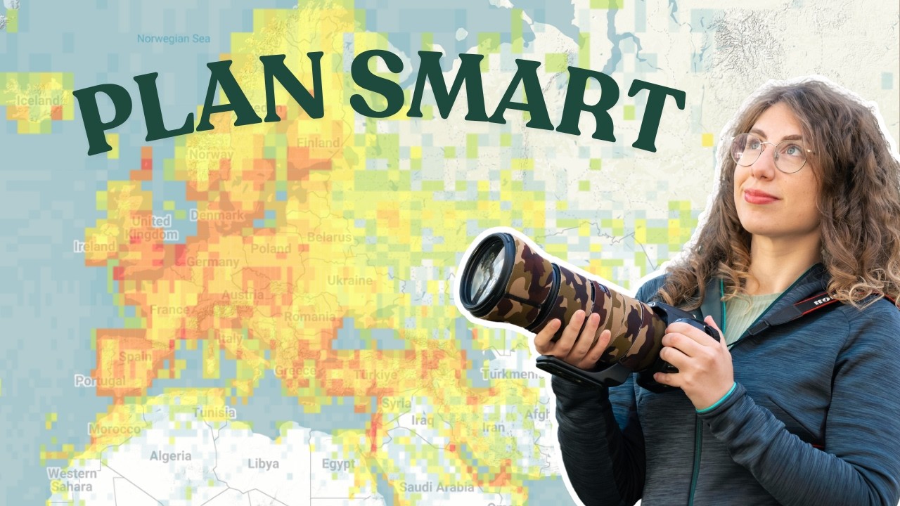 The Free Tool I Use to Find Birds Anywhere in the World