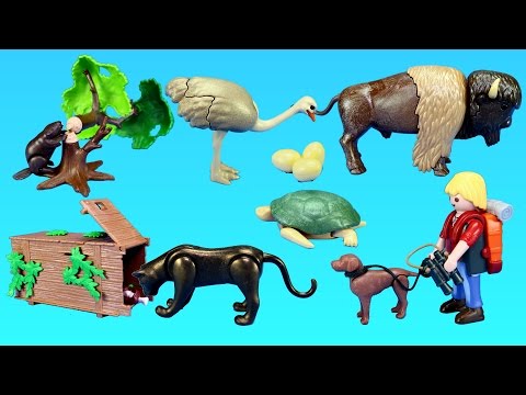 Playmobil Wildlife Animals Figures and Building Toy Sets For Kids