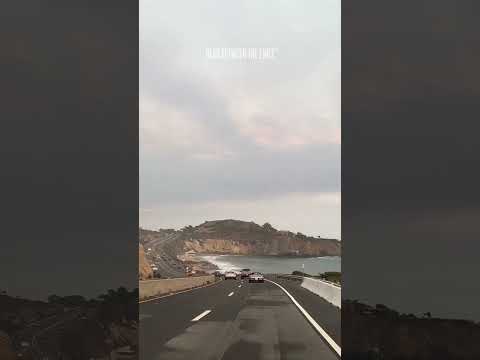 Our P.Y.T. candle: the perfect blend of intoxicating florals + warm notes | Read Between The Lines®️