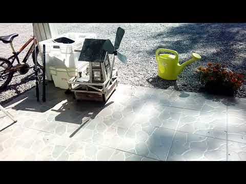 Mun eka kerta kun sain hauen