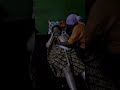 Urut Perut Hamil Cantik 9bulan