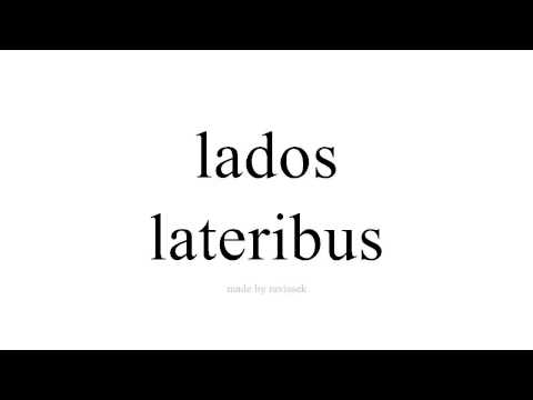 Disce Spanish   lateribus