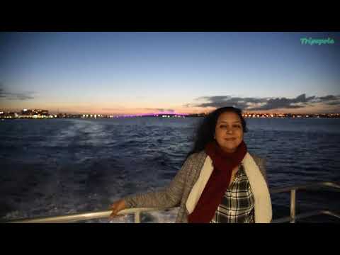 0 Experiences in Auckland & New Zealand's North Island that you cannot Miss