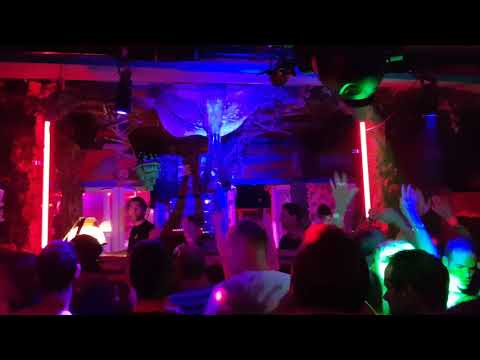 Bart Skils @ Volt Woodstock