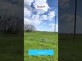 Видео превью