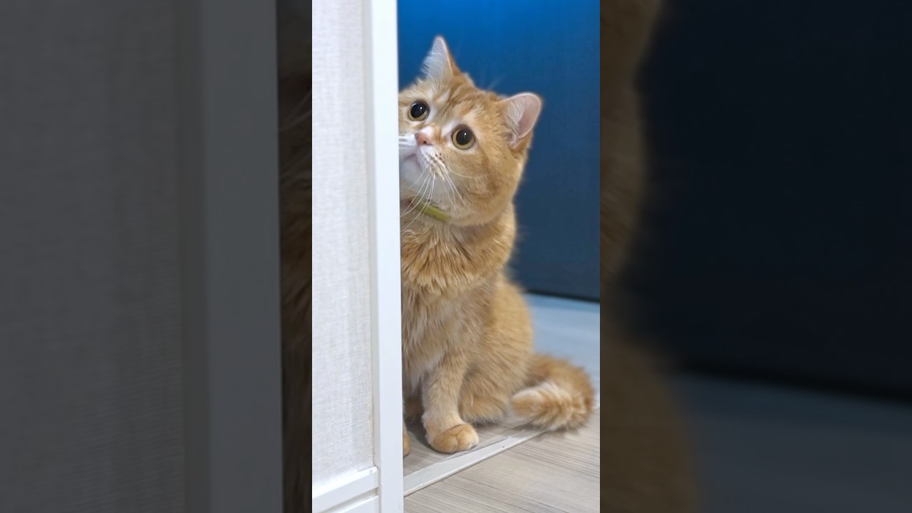 The Choice That Sweetened Us 🍪