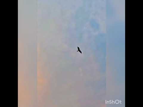 Bhaskar Ghosh https://youtu.be/2FFQ_HbpgXg