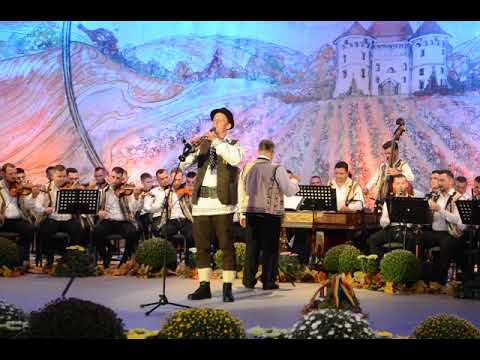 Vârciu Ciprian, la Festivalul Național Strugurele de Aur 2019