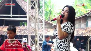 Download lagu KECEWA - DESI THATA - MANHATTAN 2022 - SGS GROBOGAN mp3 Download lagu KECEWA - DESI THATA - MANHATTAN 2022 - SGS GROBOGAN mp3