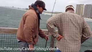 preview picture of video 'King Mackerel & Turtle @ Navarre Beach Pier'
