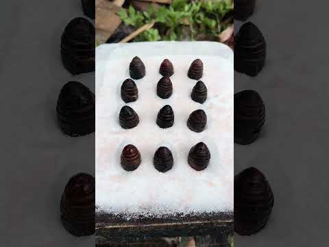 Do you dare to eat silkworm chrysalis? | Chinese Mountain Forest Life and Food #Moo Tik Tok#FYP