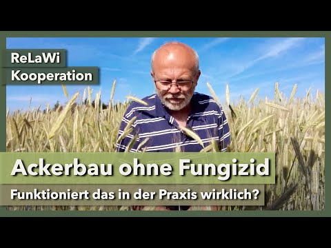 Ackerbau ohne Fungizid - So funktioniert's in der Praxis | ReLaWi Kooperation | 2024 | Teil 2