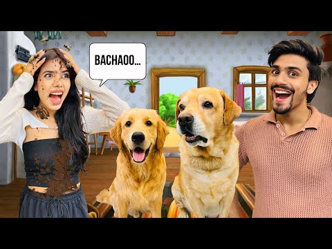@PragatiVermaa Adopted Leo & Reo For 24 Hours | Can She Survive? | Anant Rastogi 