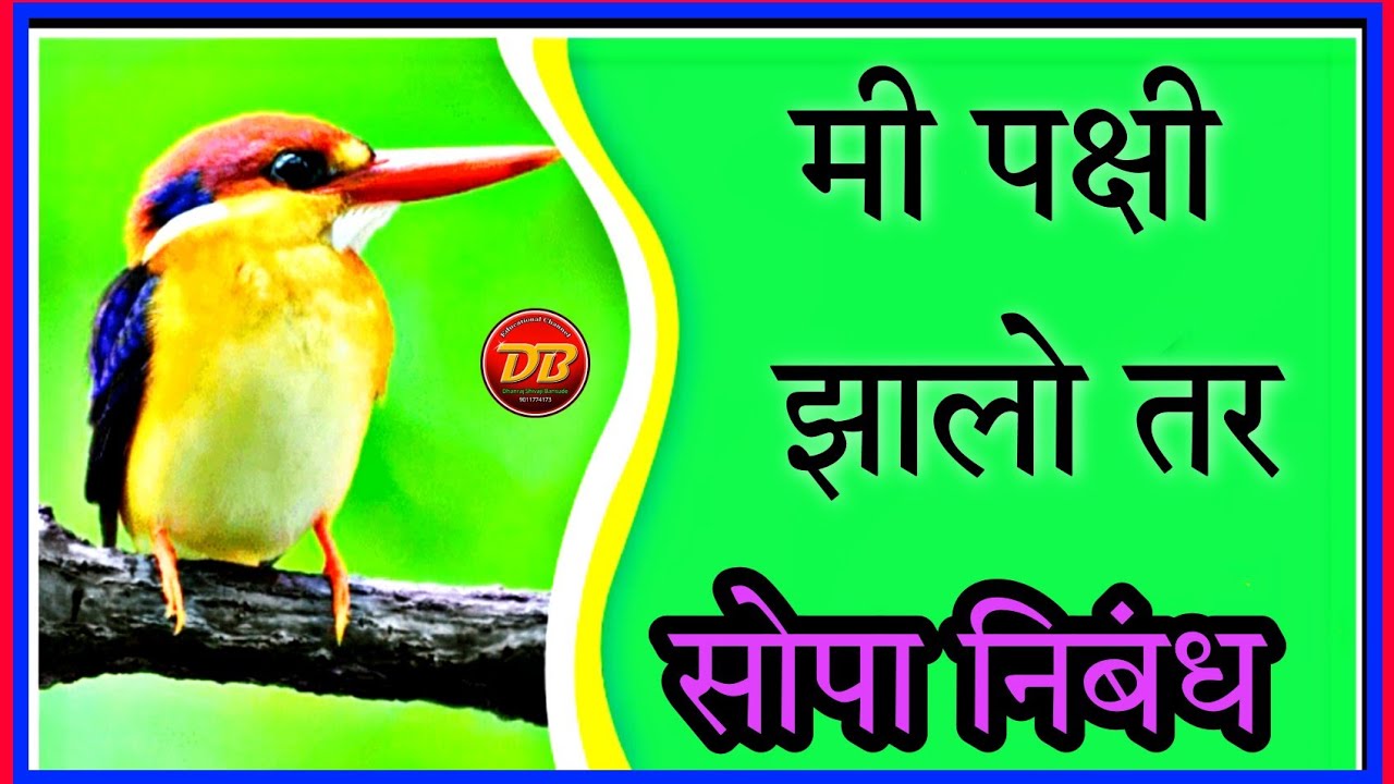 Watch video मी पक्षी झालो तर निबंध | Mi Pakshi Zalo Tar Nibandh | सोपे निबंध | Marathi Essay | Mi Bird Zalo tar Now मी पक्षी झालो तर निबंध | Mi Pakshi Zalo Tar Nibandh | सोपे निबंध | Marathi Essay | Mi Bird Zalo tar