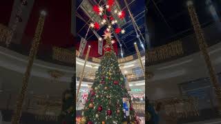 #shorts ドイツ東部ケムニッツ (Chemnitz) デパートのクリスマスツリーが可愛すぎ!