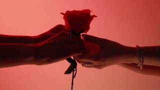 IX Advenom - Ciclos Infinitos