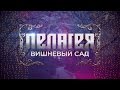 Концерт Пелагеи "Вишневый сад" (04.11.2015). 