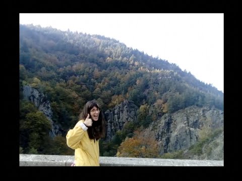 Gratuit - Kévin Colin & les Crazy Antonins