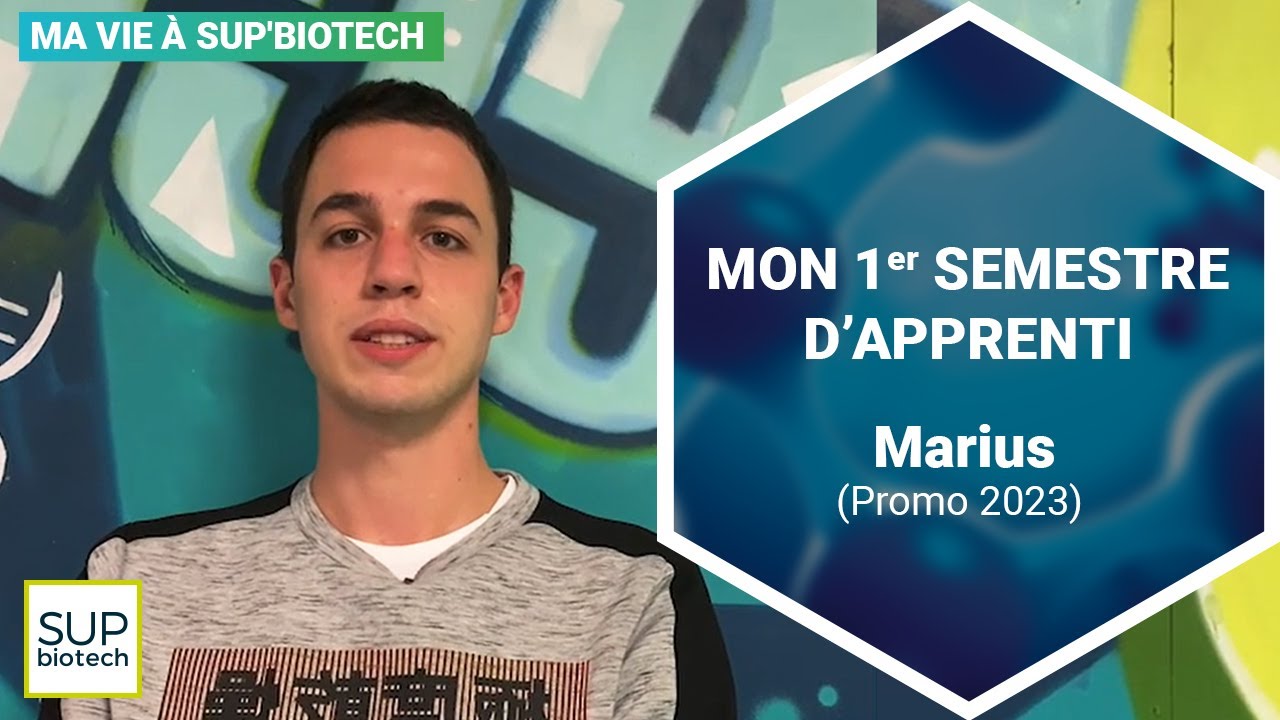 Mon 1er semestre d'apprenti - Marius (promo 2023)