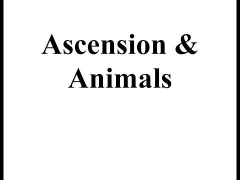 Ascension & Animals - Teachings from The Great White Brotherhood