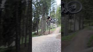 BIKEPARK Final Boss = Richie