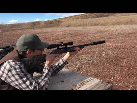Comparing .30 cal suppressor and .22 suppressor on a .22 pistol and rifle