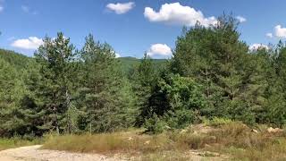 Видеодневник Мастера | Мирзакарим Норбеков | Болгария, август 2018 ч.1