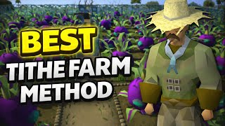 Complete Tithe Farming Guide OSRS – Includes 25x4 Method!