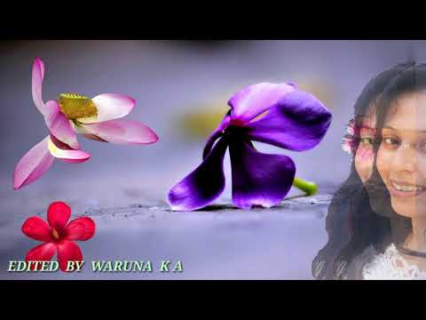 MAGE DUWE NUMBA AWADIYEN NAM........(මගෙ දුවේ නුඹ අවදියෙන් නම්)