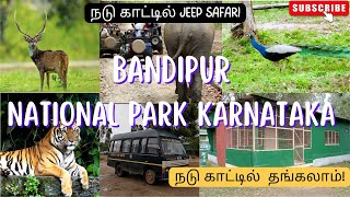 Bandipur National Park | Mysore | நடு காட்டில் jeep safarI | காட்டில்  தங்கலாம் | Forest 🐯 🐘 🦌